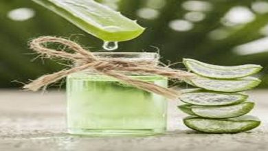 آنچه درباره گیاه آلوئه ورا باید بدانید