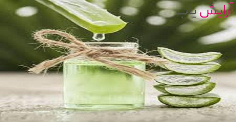آنچه درباره گیاه آلوئه ورا باید بدانید