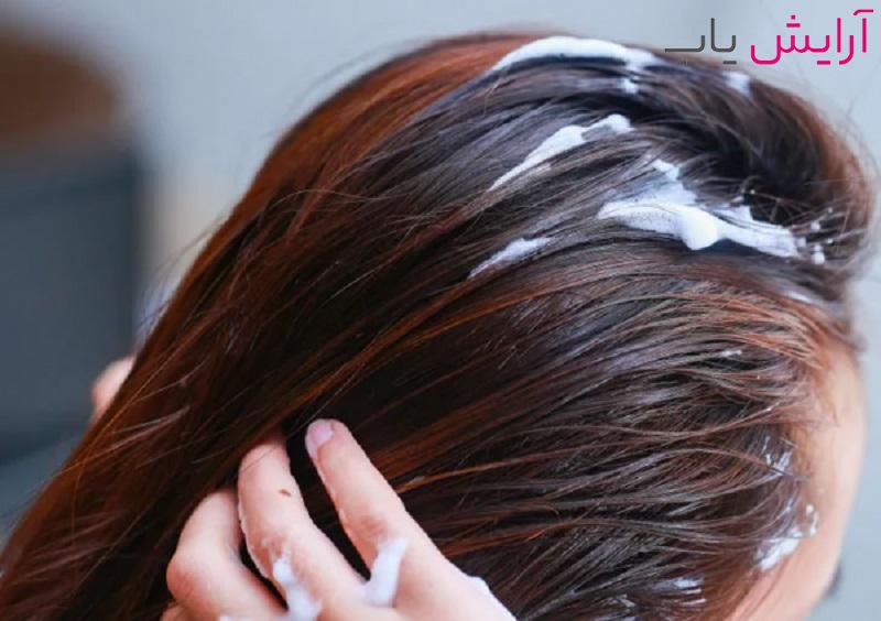 طرز استفاده از موس مو