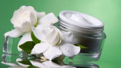 کرم های سینره